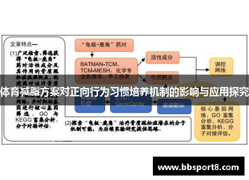 体育减脂方案对正向行为习惯培养机制的影响与应用探究